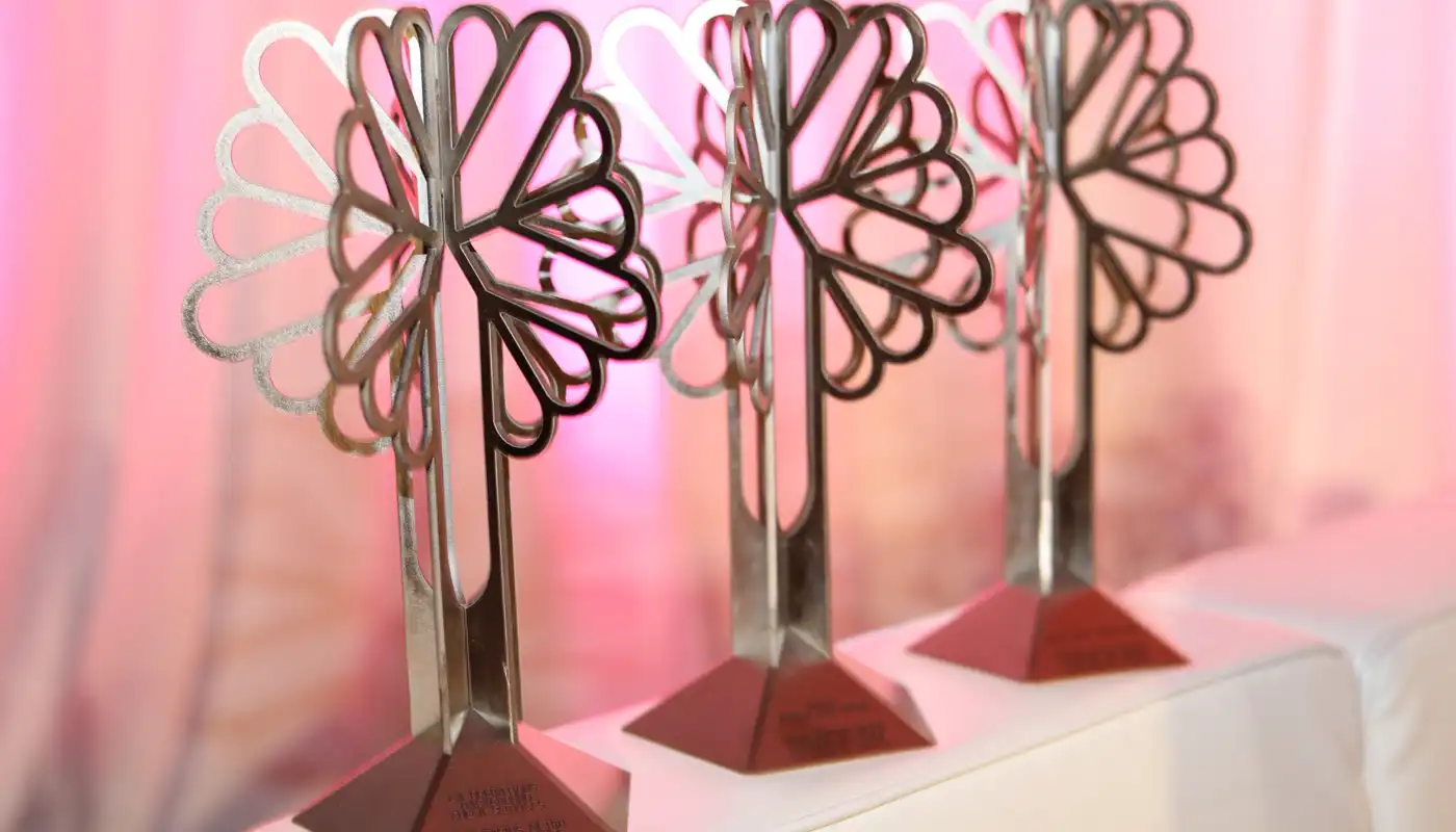 A close up of bravo awards on a shelf