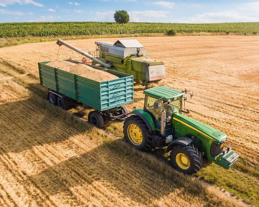 A harvester pours grain into a tractor in a serene midwest landscape